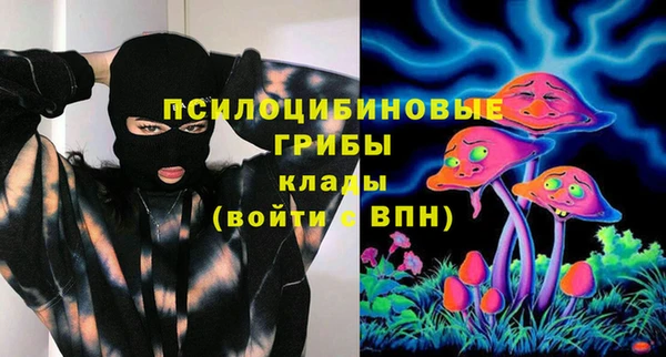 индика Бронницы