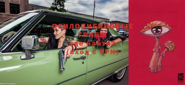 a pvp Орск