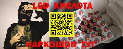 альфа пвп Гусев
