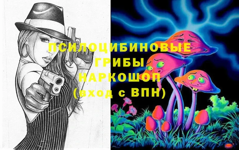 Галлюциногенные грибы Magic Shrooms  Электрогорск 