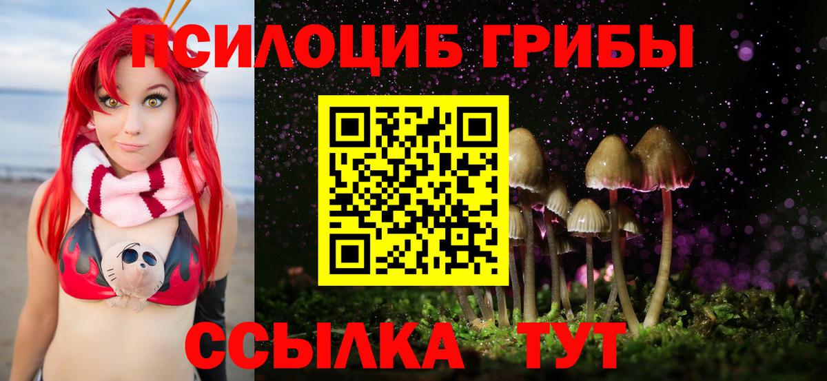 Псилоцибиновые грибы GOLDEN TEACHER  Вход с VPN  Псилоцибиновые грибы Cubensis  Электрогорск 