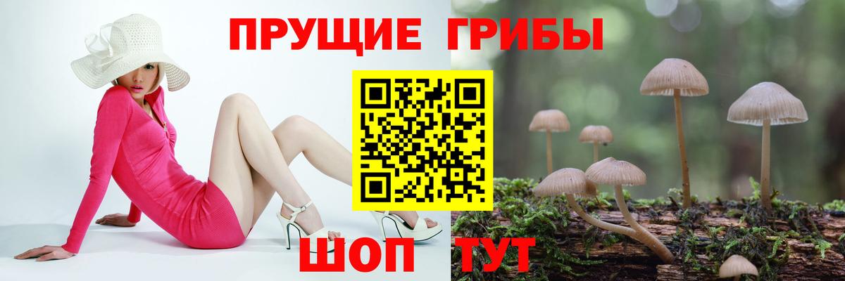 Псилоцибиновые грибы ЛСД Электрогорск